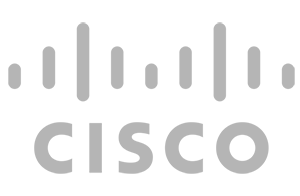 عقاب سایبری